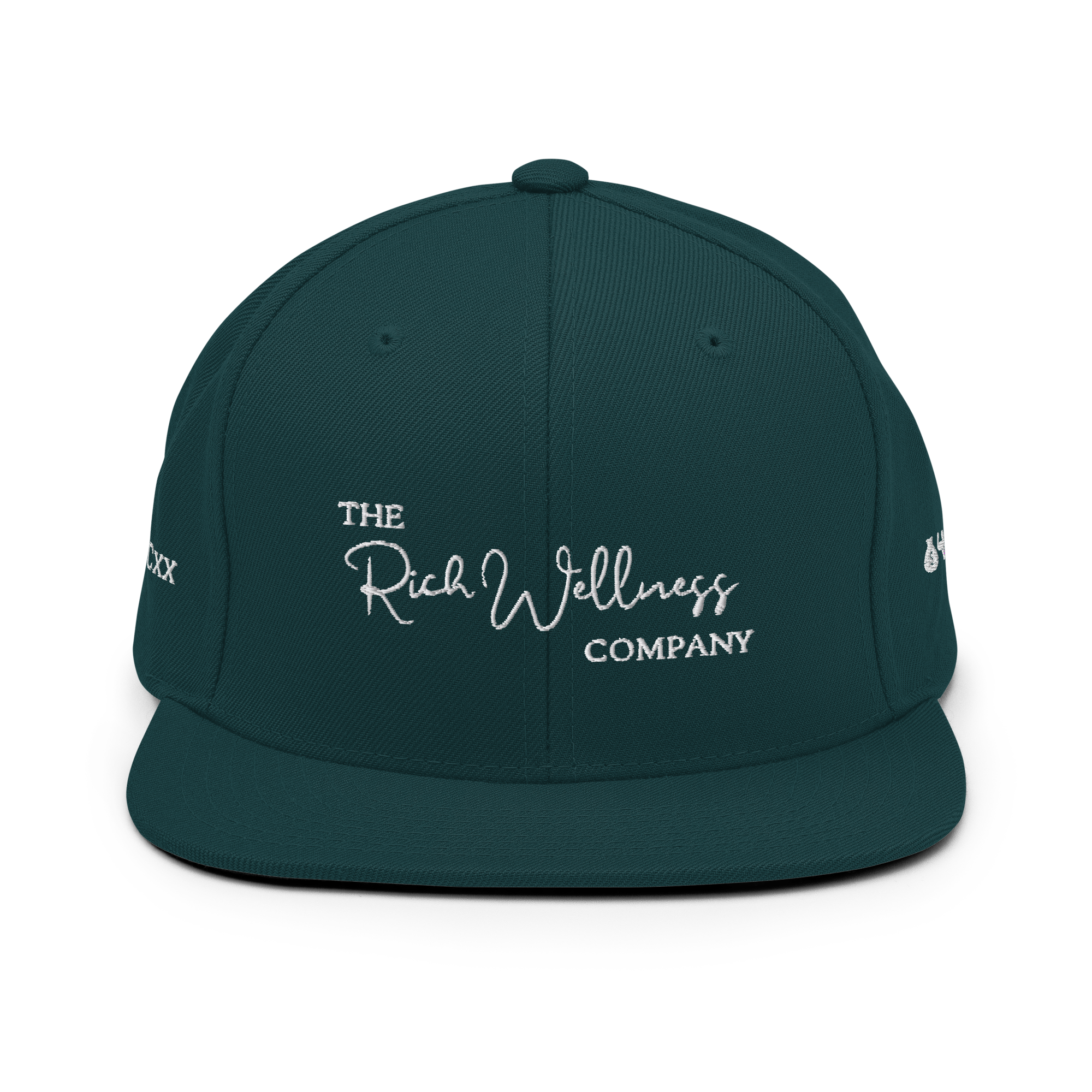 The Rich Snapback Hat-Darkness